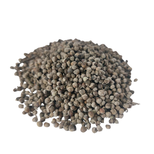 שיח אברהם מצוי זרעים שלם – תוסף תזונה Vitex agnus-castus