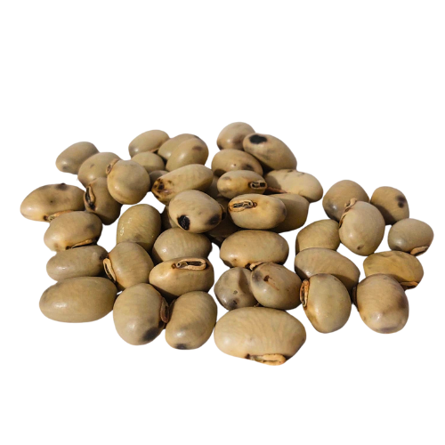 מוקונה זרעים שלם Mucuna pruriens