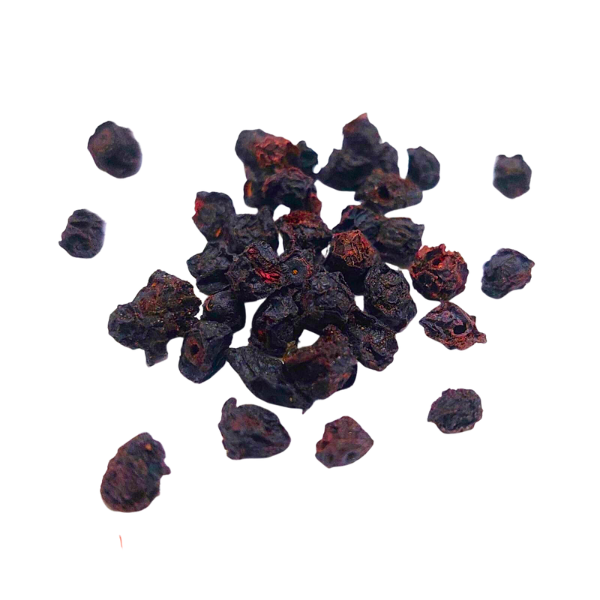 בילברי (ווקס מירט) פרי שלם Vaccinium myrtilus