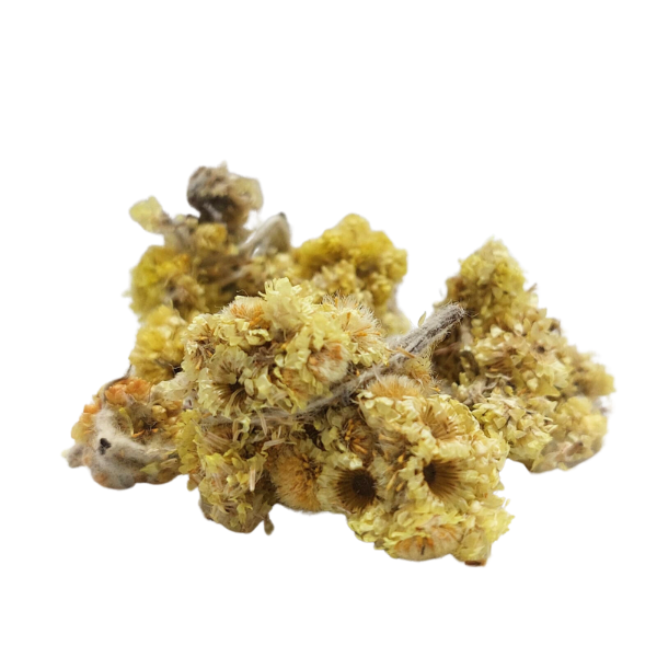 לבדנית (ביסמרטניק) פרחים שלם – Helichrysum arenarium