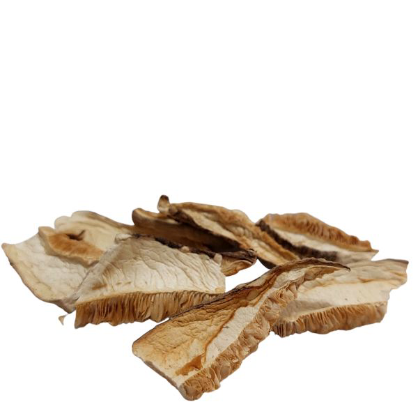 שיטאקי פטריה פרוסה Lentinula edodes (Shitake)