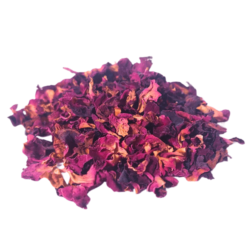 פרחי ורדים – עלי הפרח מפורדים Rosa rugosa