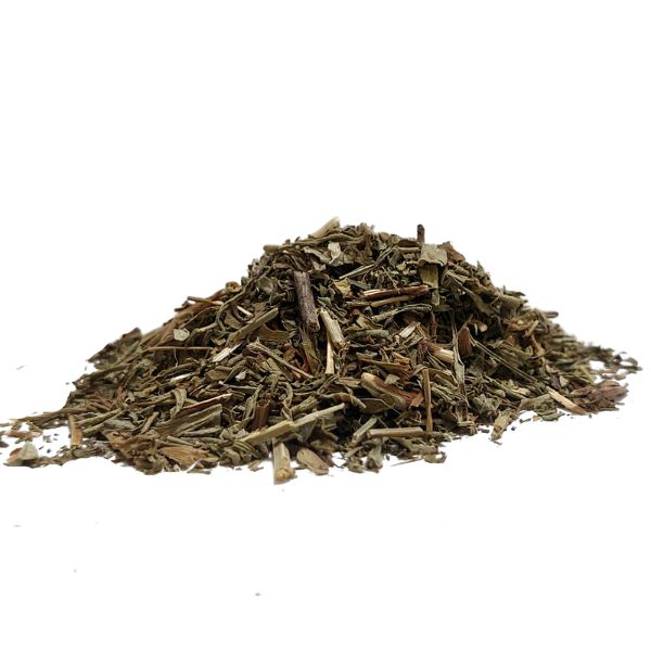 בן אזוב צמח גרוס Hyssopus officinalis