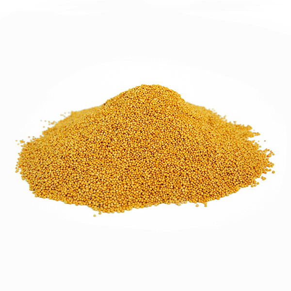 חרדל צהוב זרעים שלם Brassica nigra