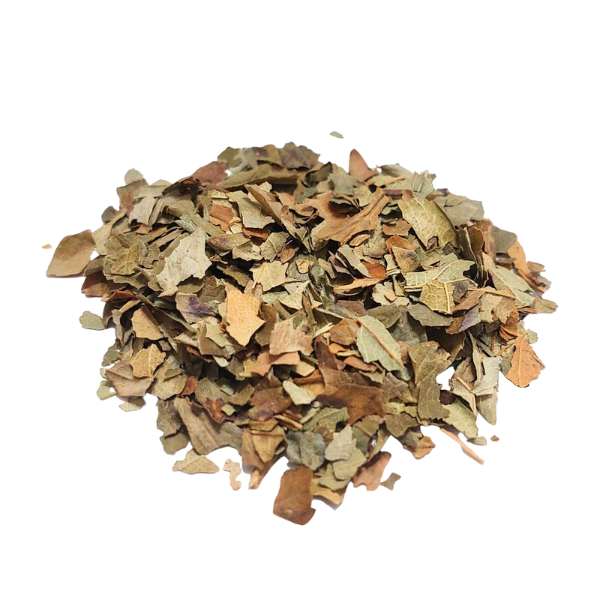 תות שדה בר עלים קצוץ Fragaria vesca