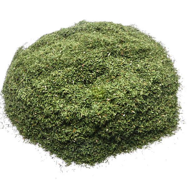 פטרוזיליה עלים אבקה מוכנה Carum Petroslinum