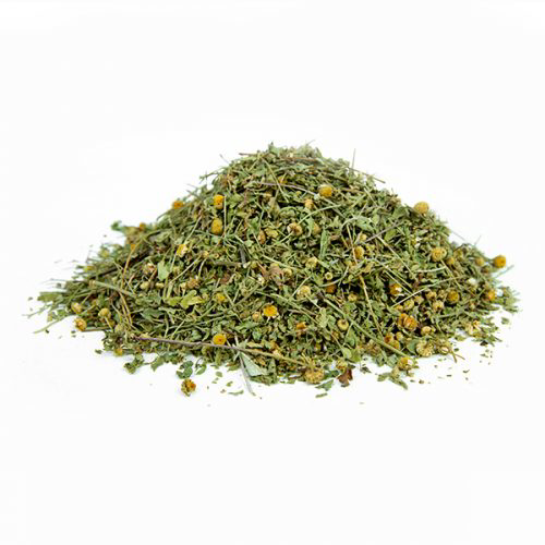 בן חרצית צמח גרוס – תוסף תזונה Tanacetum parthenium