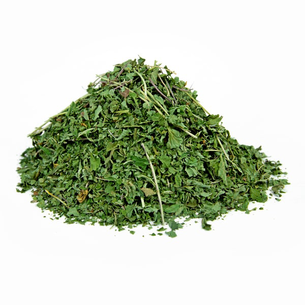 ספיראה (פיליפנדולה) צמח גרוס Filipendula ulmaria