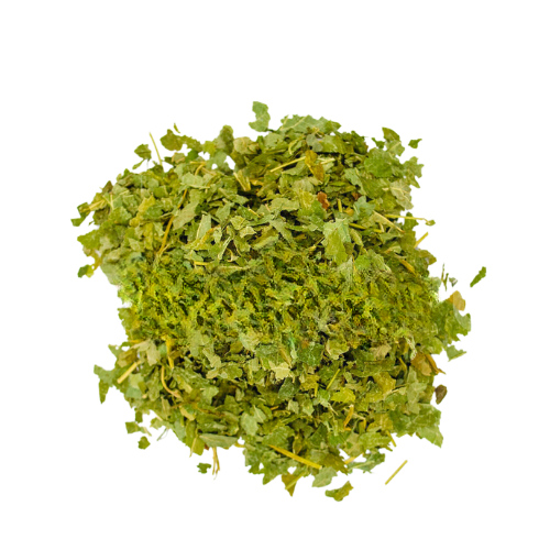 דמדמנית עלים שלם Ribes nigrum