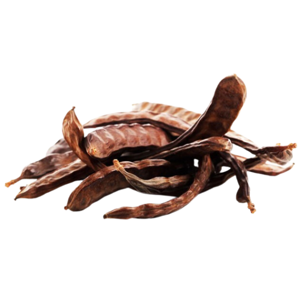 חרוב מצוי בר פירות שלם Ceratonia siliqua