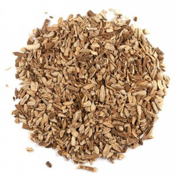 אכיניצאה – קיפודנית חיוורת שורש גרוס Echinacea pallida