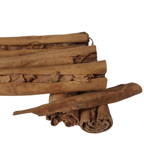 קינמון ציילוני קליפה שלם Cinnamomum zeylanicum