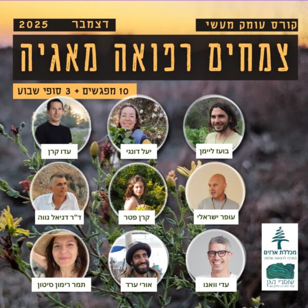 'צמחים רפואה מאגיה'