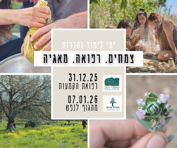 ימי הכרות " צמחים רפואה מאגיה"